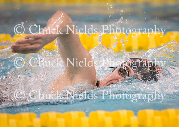 State Swimming_051