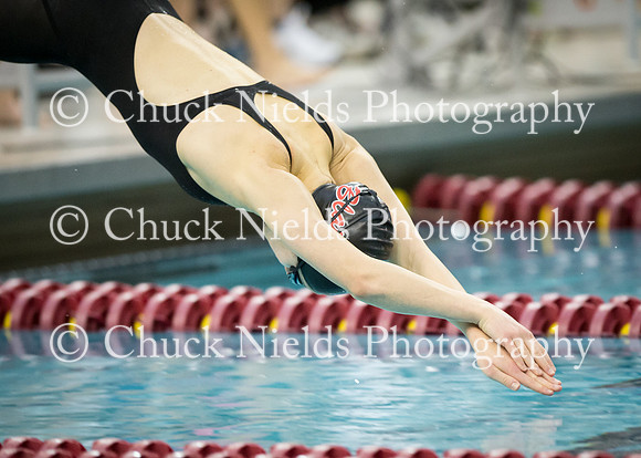 State Swimming_049