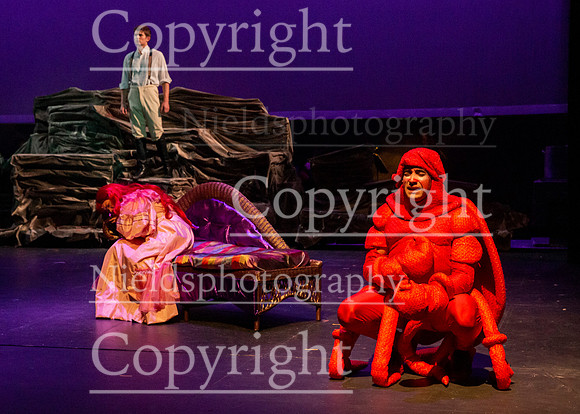 Little_Mermaid_174