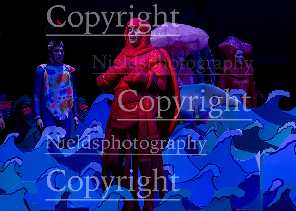 Little_Mermaid_532