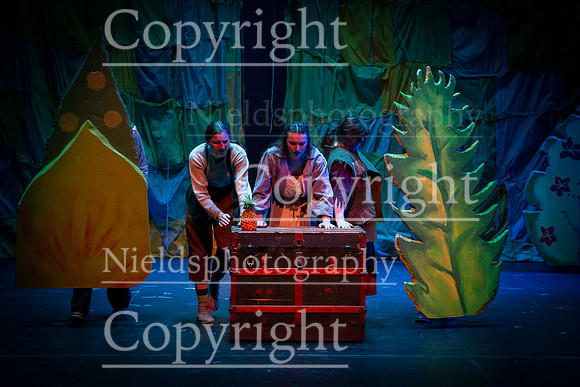 Peter_and_The_StarCatcher_101