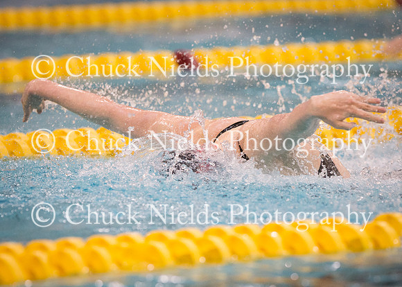 State Swimming_109