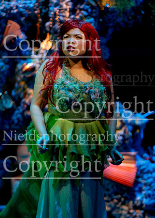 Little_Mermaid_301