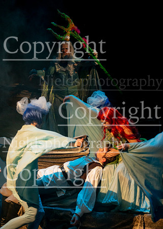 Little_Mermaid_311