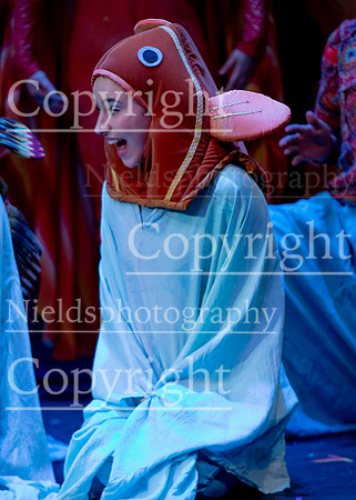 Little_Mermaid_261