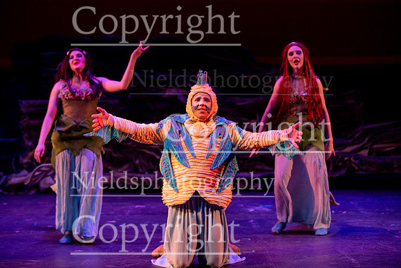 Little_Mermaid_335