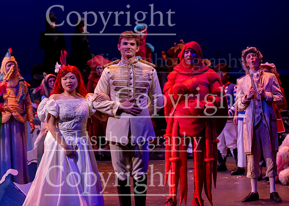 Little_Mermaid_596