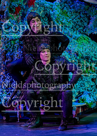 Little_Mermaid_416