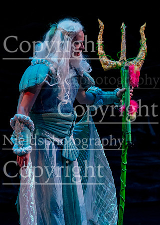 Little_Mermaid_395