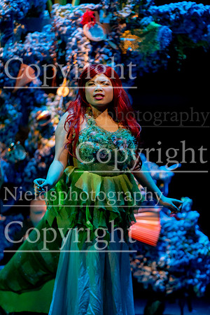 Little_Mermaid_300