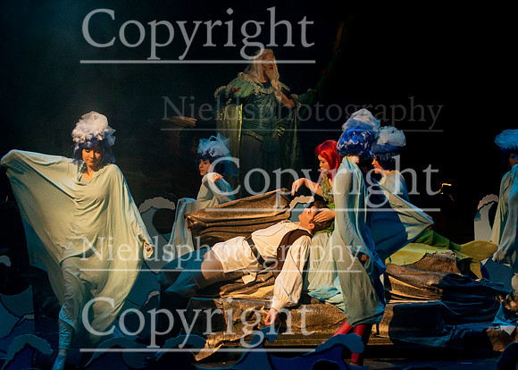 Little_Mermaid_312