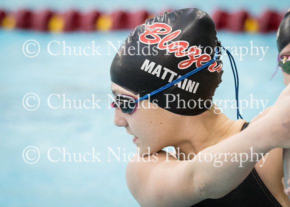 State Swimming_341