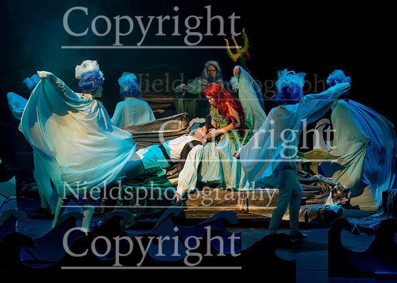 Little_Mermaid_315