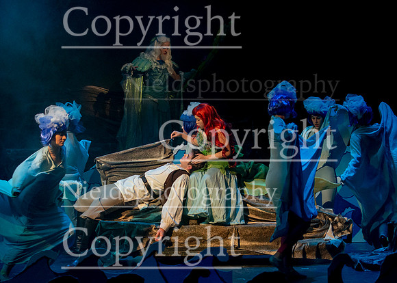 Little_Mermaid_313