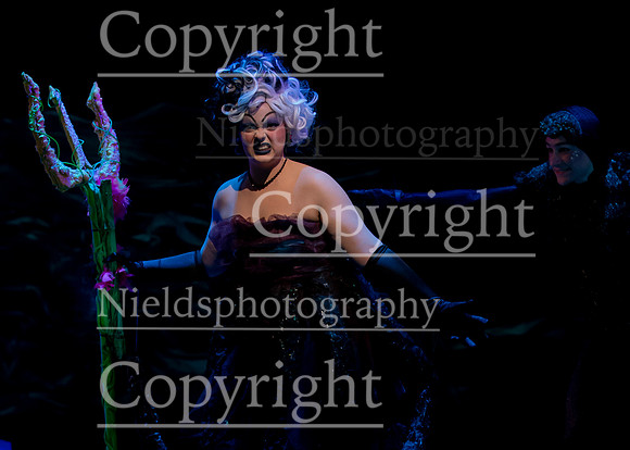 Little_Mermaid_573