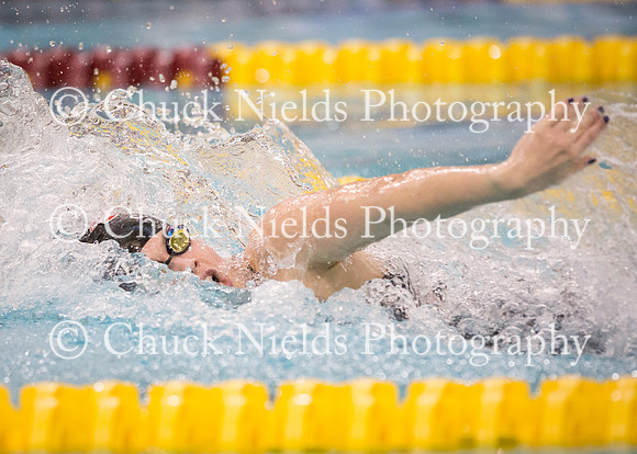 State Swimming_055