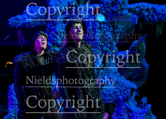 Little_Mermaid_403