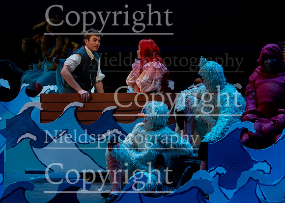 Little_Mermaid_524