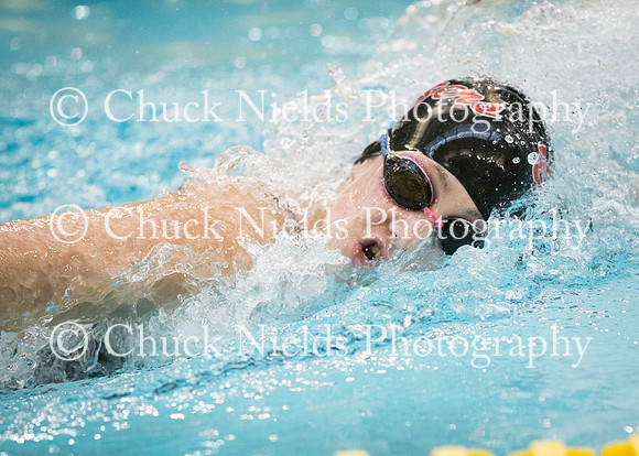 State Swimming_205