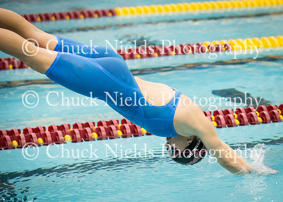 State Swimming_288