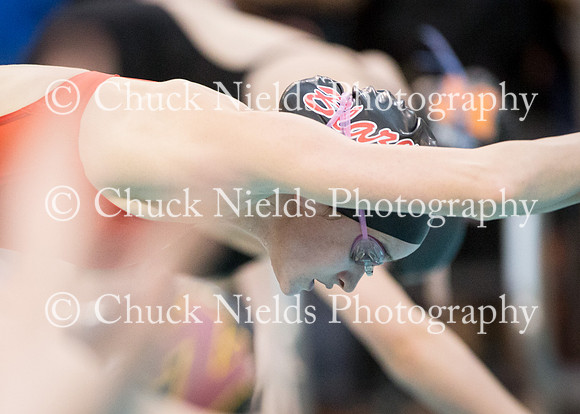 State Swimming_139