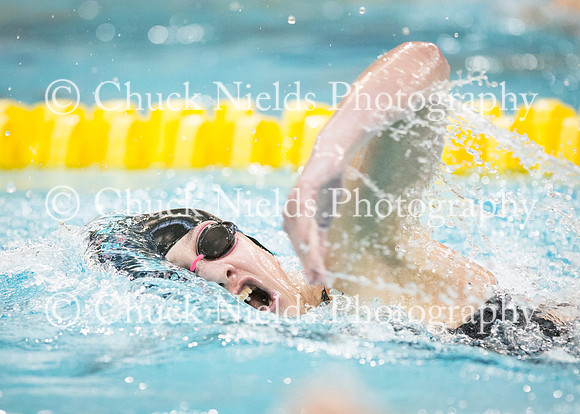 State Swimming_212