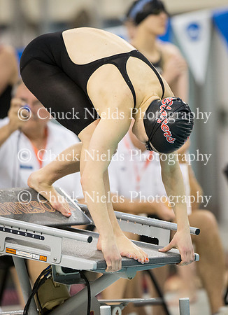 State Swimming_047
