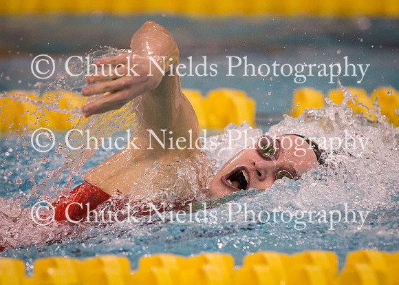 State Swimming_060