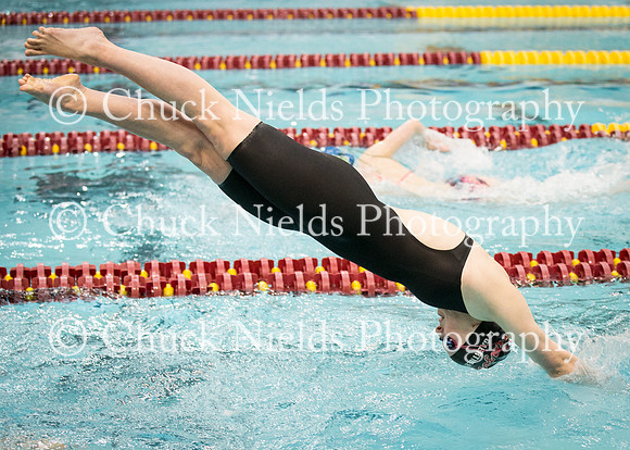 State Swimming_271