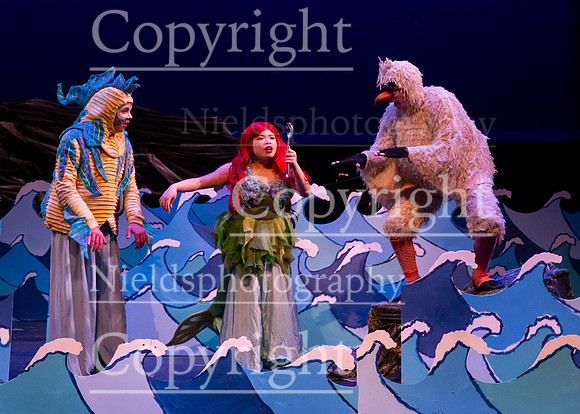 Little_Mermaid_006