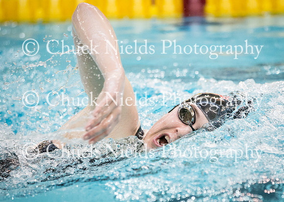 State Swimming_371