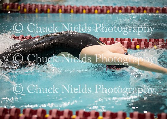 State Swimming_265