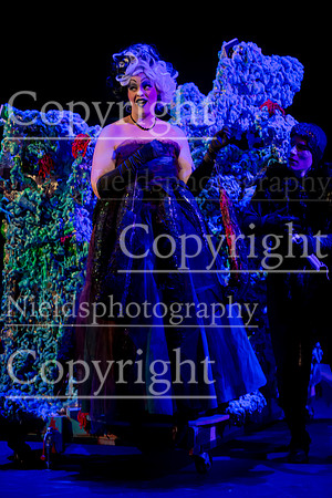 Little_Mermaid_569