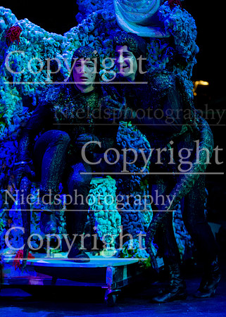 Little_Mermaid_287