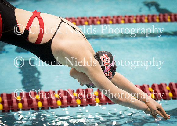 State Swimming_280