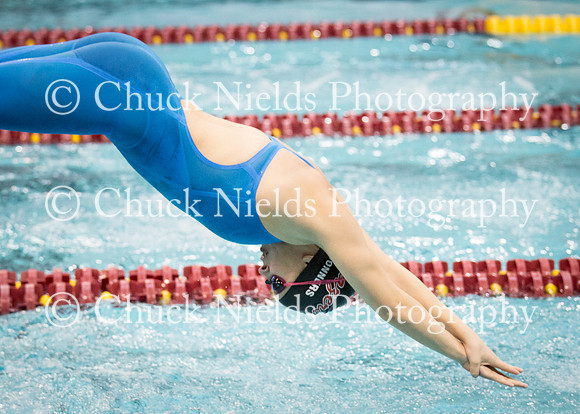 State Swimming_275