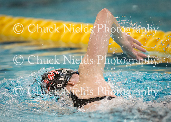 State Swimming_221