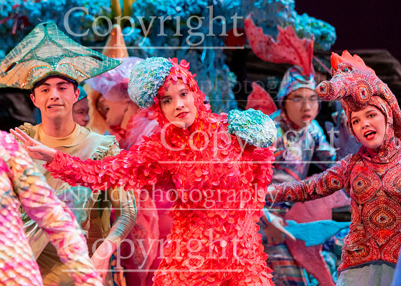 Little_Mermaid_368