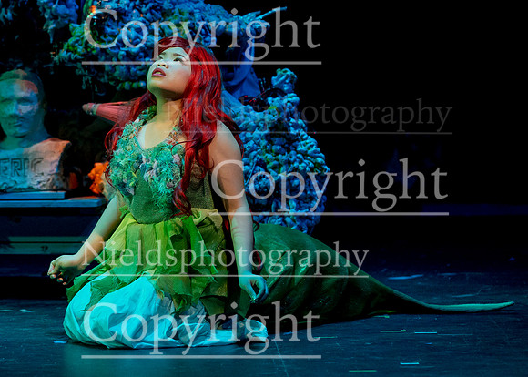 Little_Mermaid_305