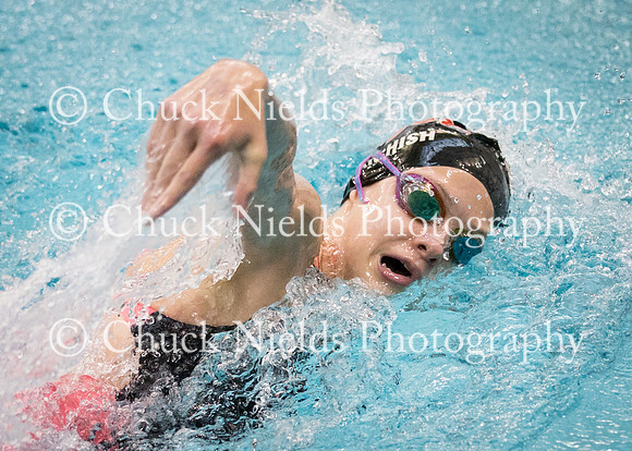 State Swimming_322