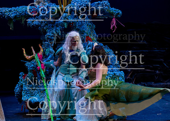 Little_Mermaid_460