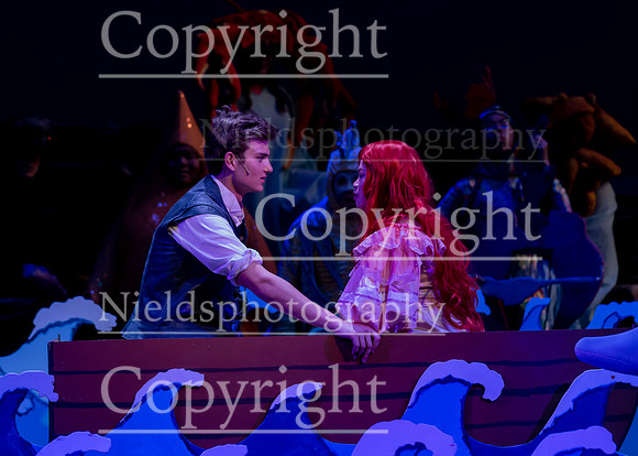 Little_Mermaid_533