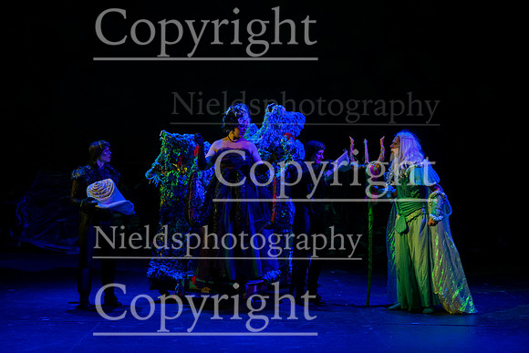 Little_Mermaid_193