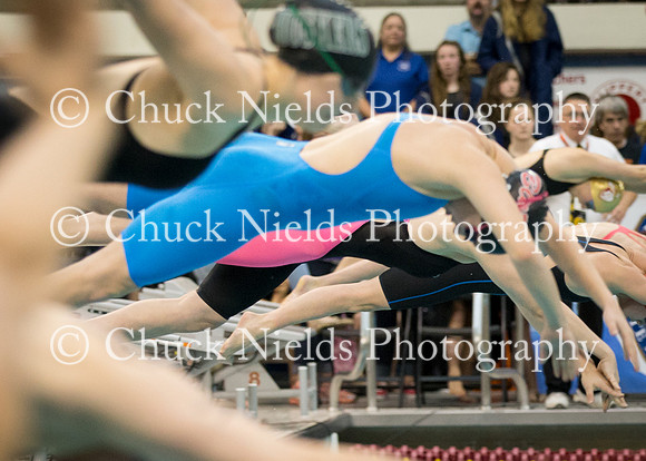 State Swimming_334
