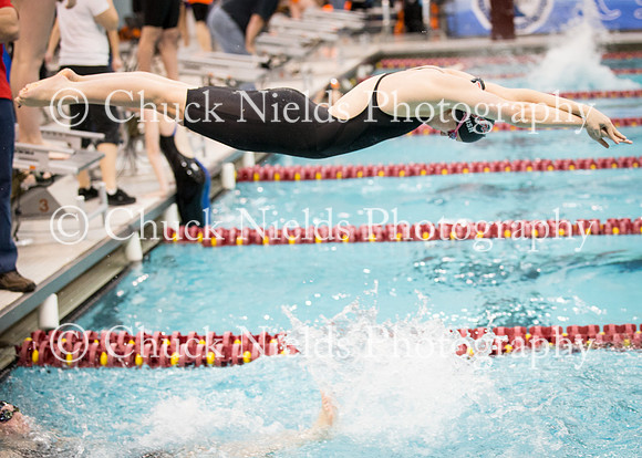 State Swimming_266