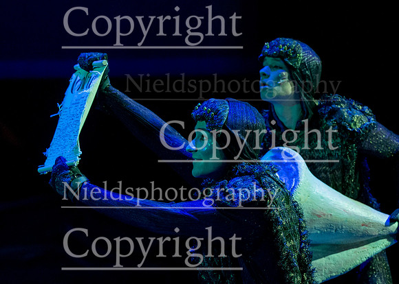Little_Mermaid_429