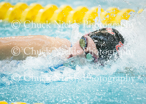 State Swimming_183