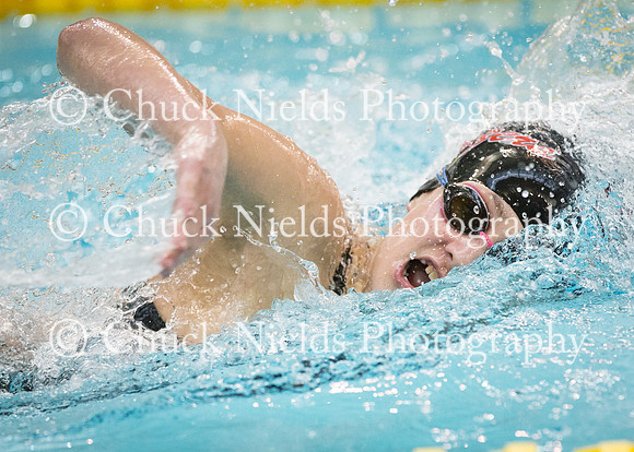 State Swimming_206