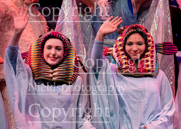 Little_Mermaid_603