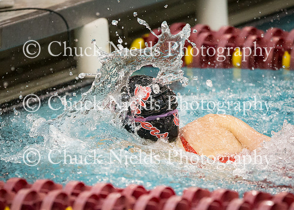State Swimming_192